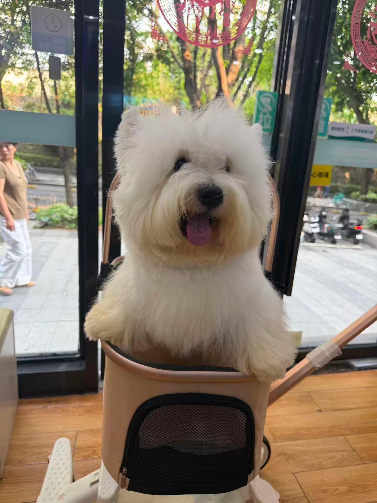 瑞派太安宠物医院设备
