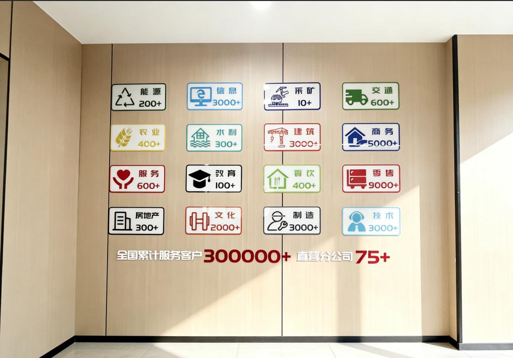 椰子企服团队展示