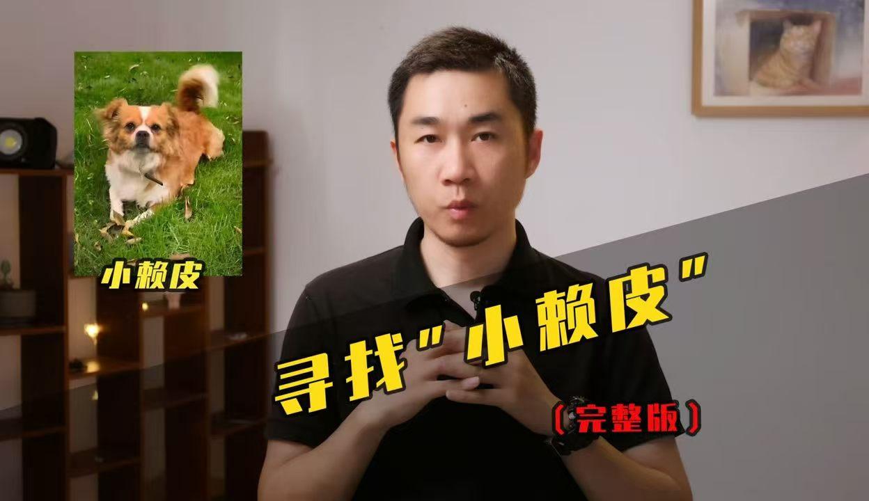 宠物侦探团队