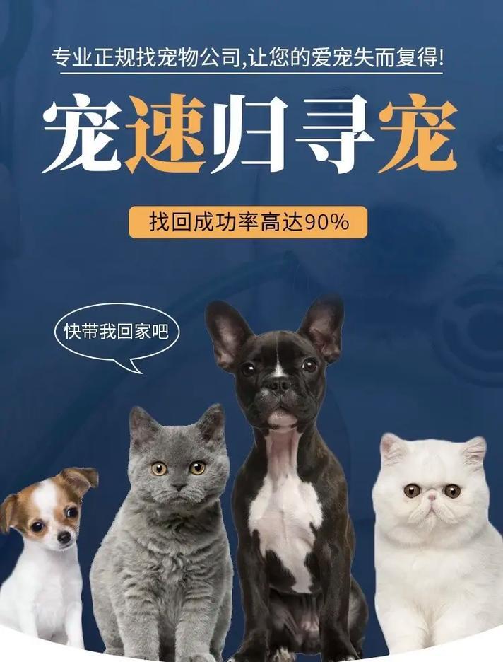 热成像搜救设备