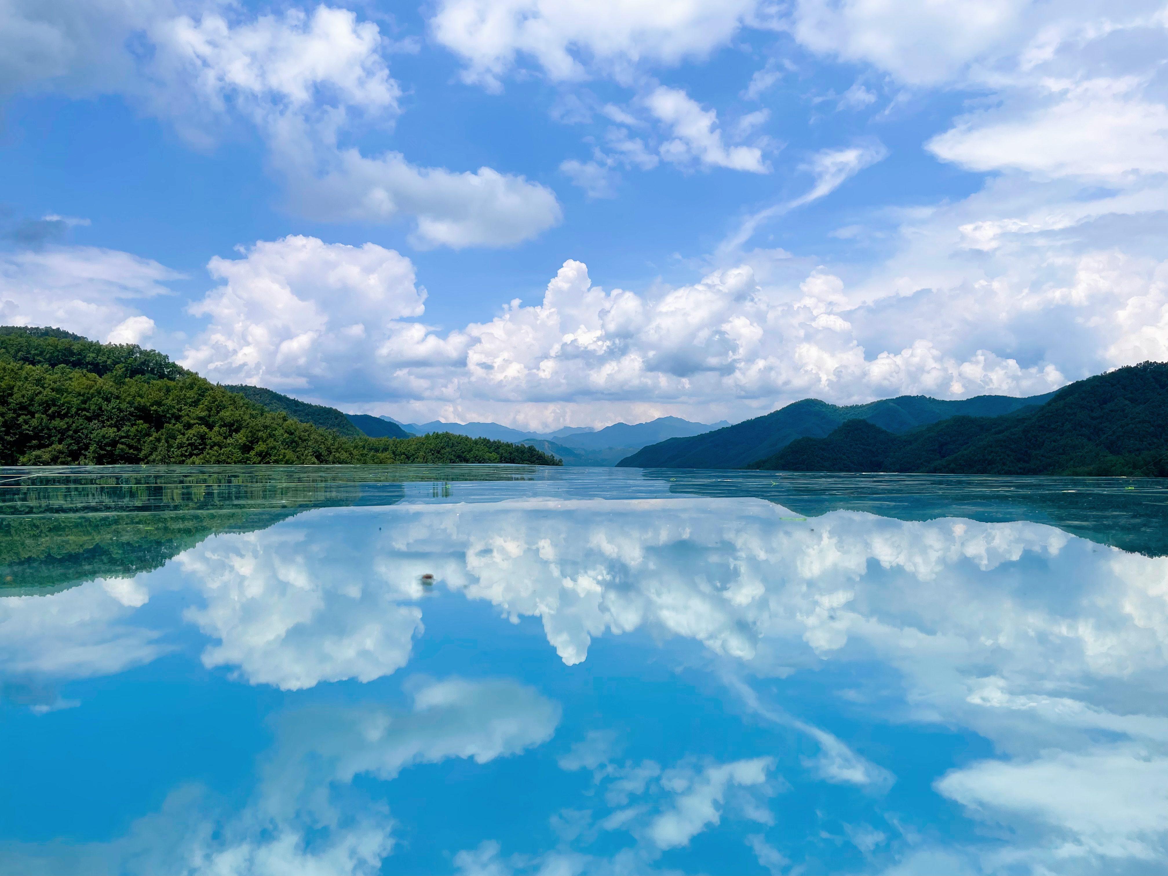 王府竹海森林氧吧