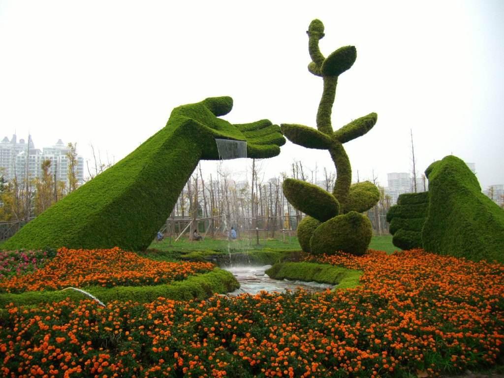 开封菊花展