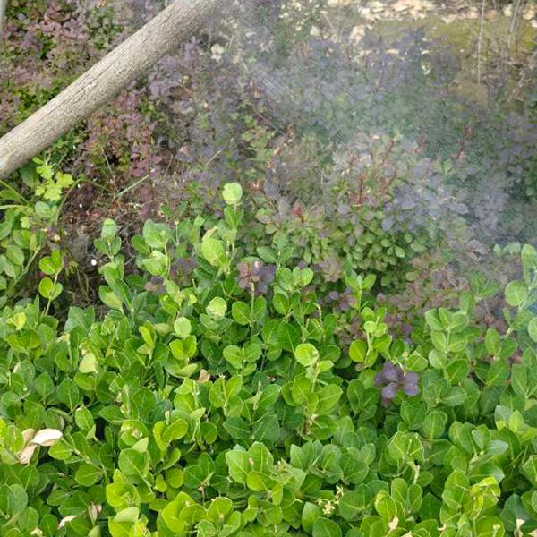 天津万康生物技术有限公司
