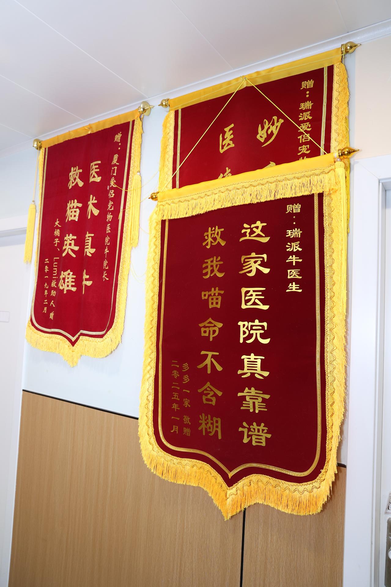 厦门爱侣宠物医院