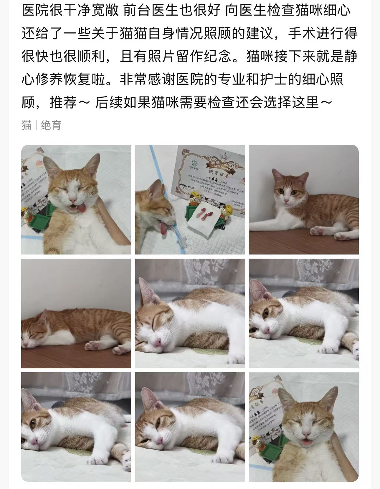 瑞派派特堡同步宠物医院