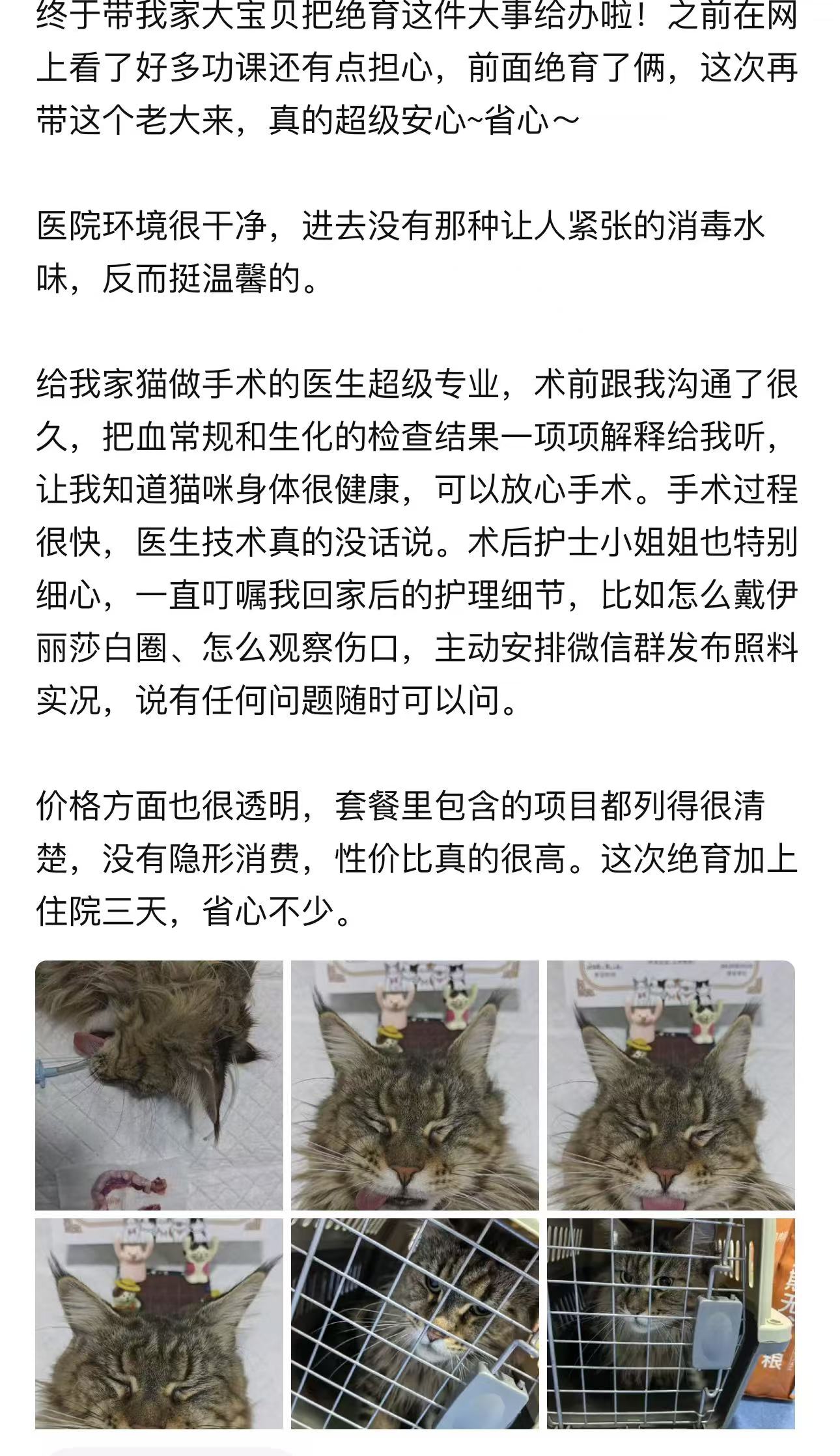 深圳市瑞派派特堡同步宠物医院