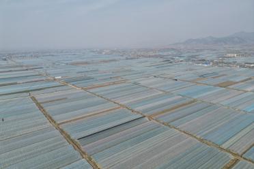 鲁冠农膜厂区实景