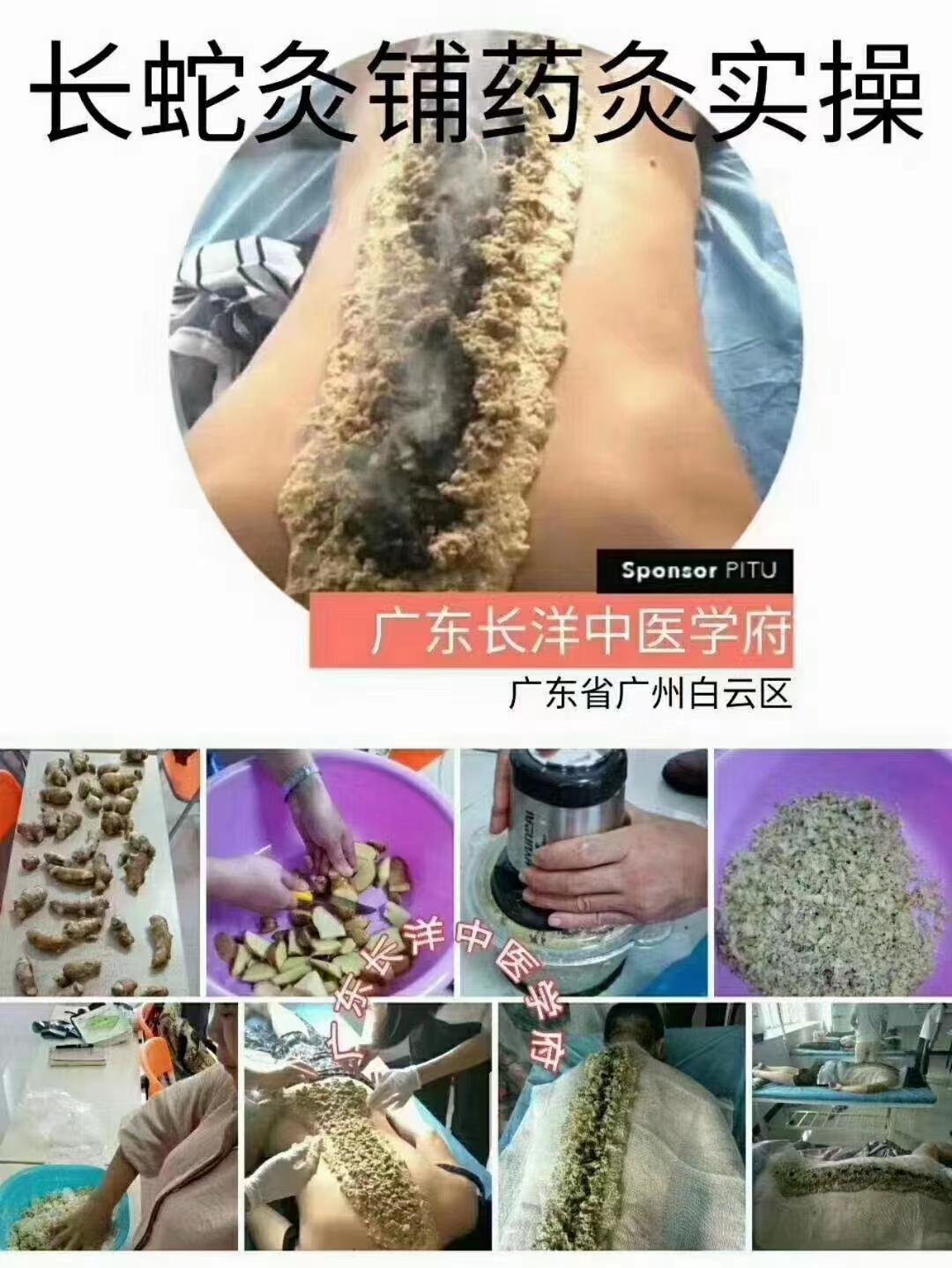 长洋中医研究院师资团队