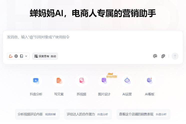 蝉妈妈产品界面示例