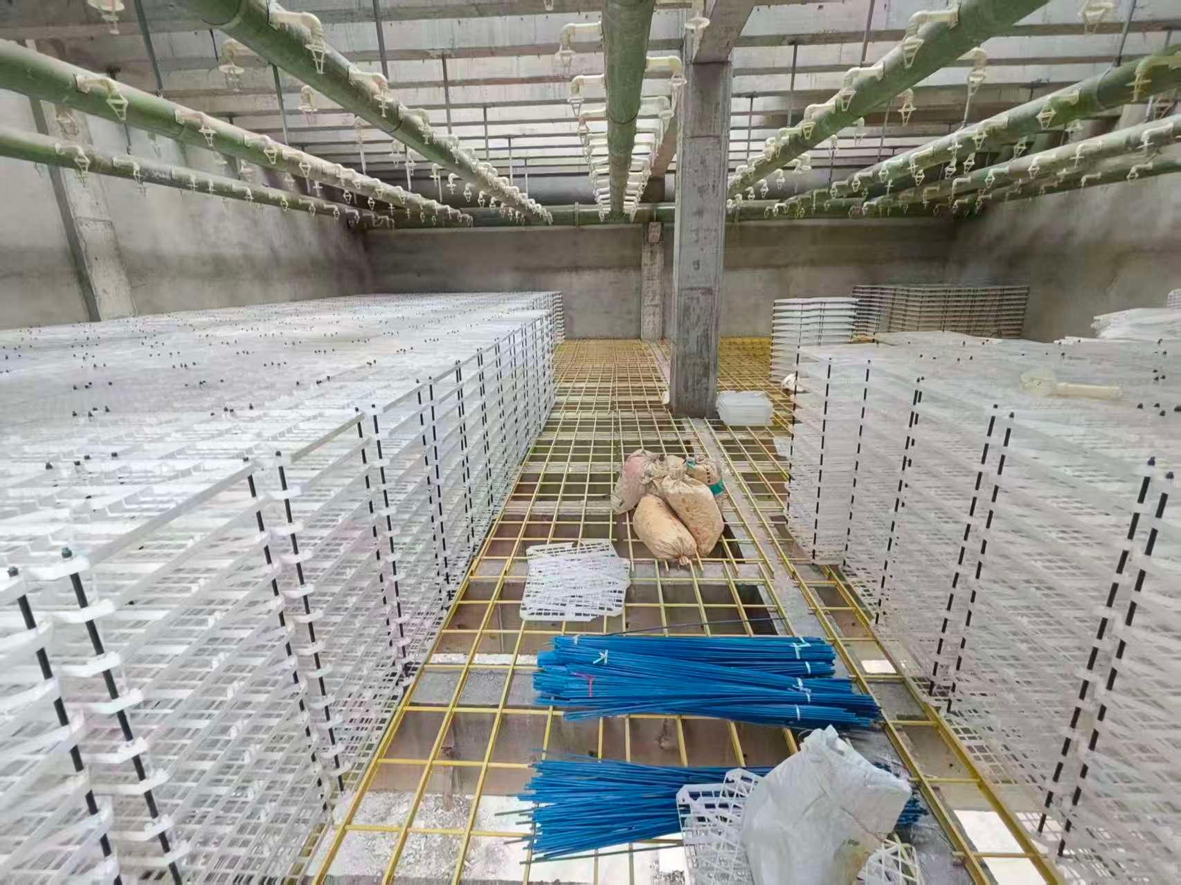 产品展示2