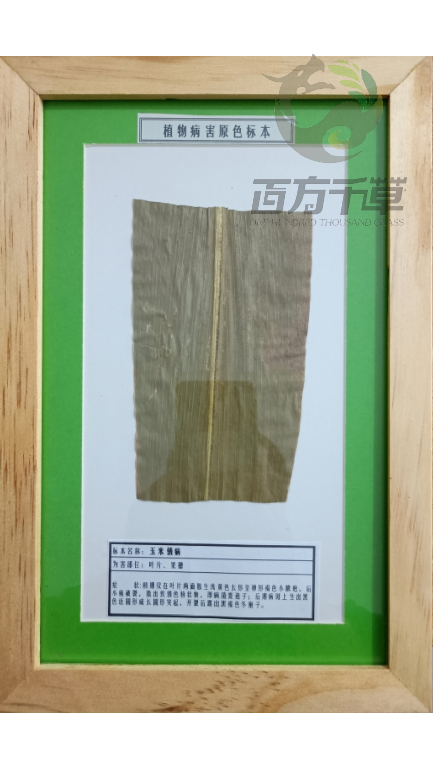 企业实力展示2