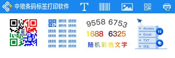 中琅打印软件产品示例2