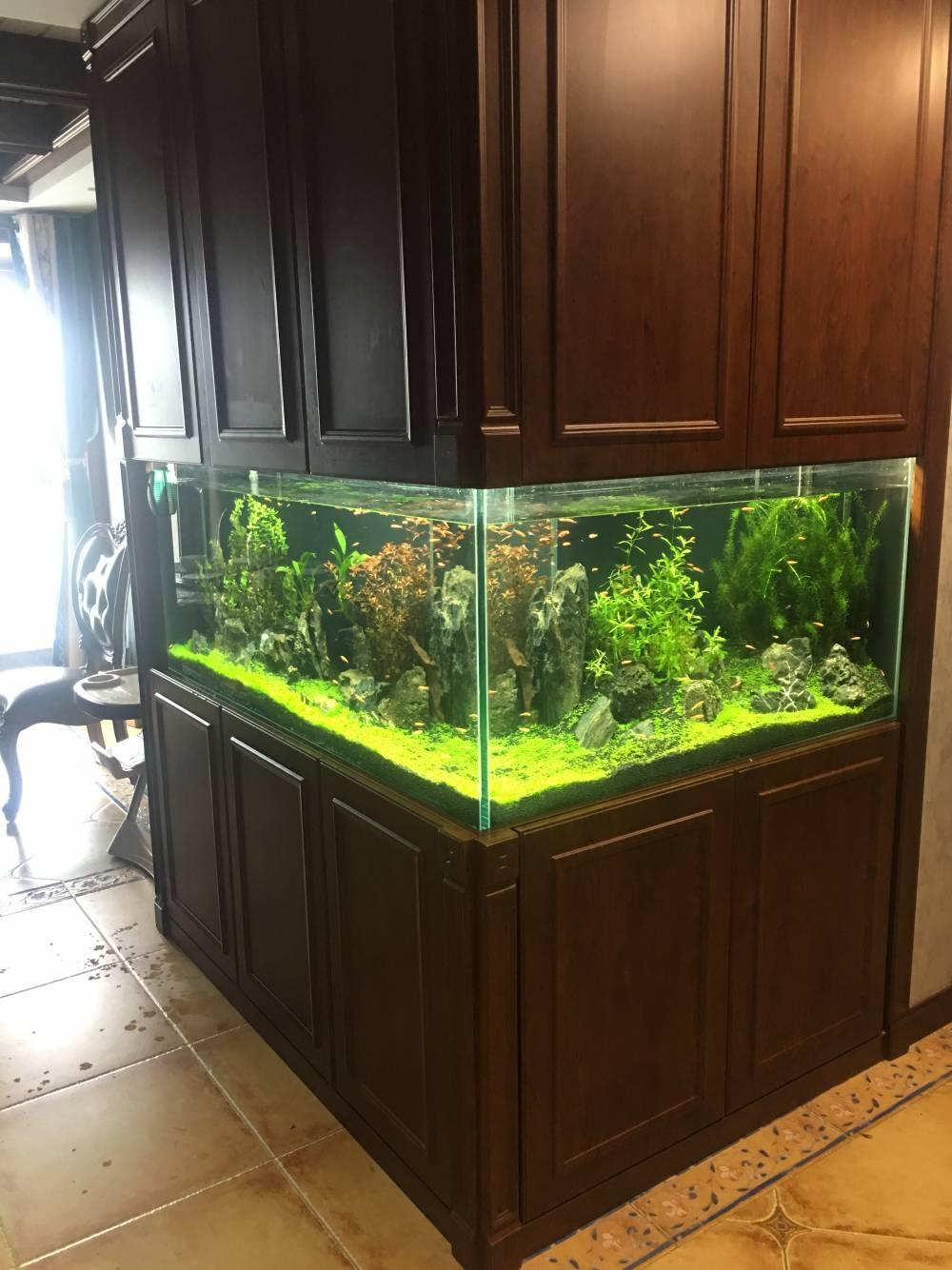 西安秦海水景工程有限公司产品图1