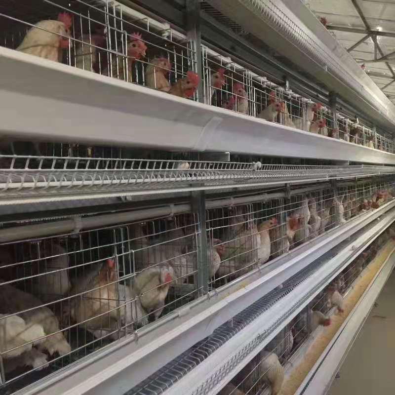 恒元绿丰产品展示2