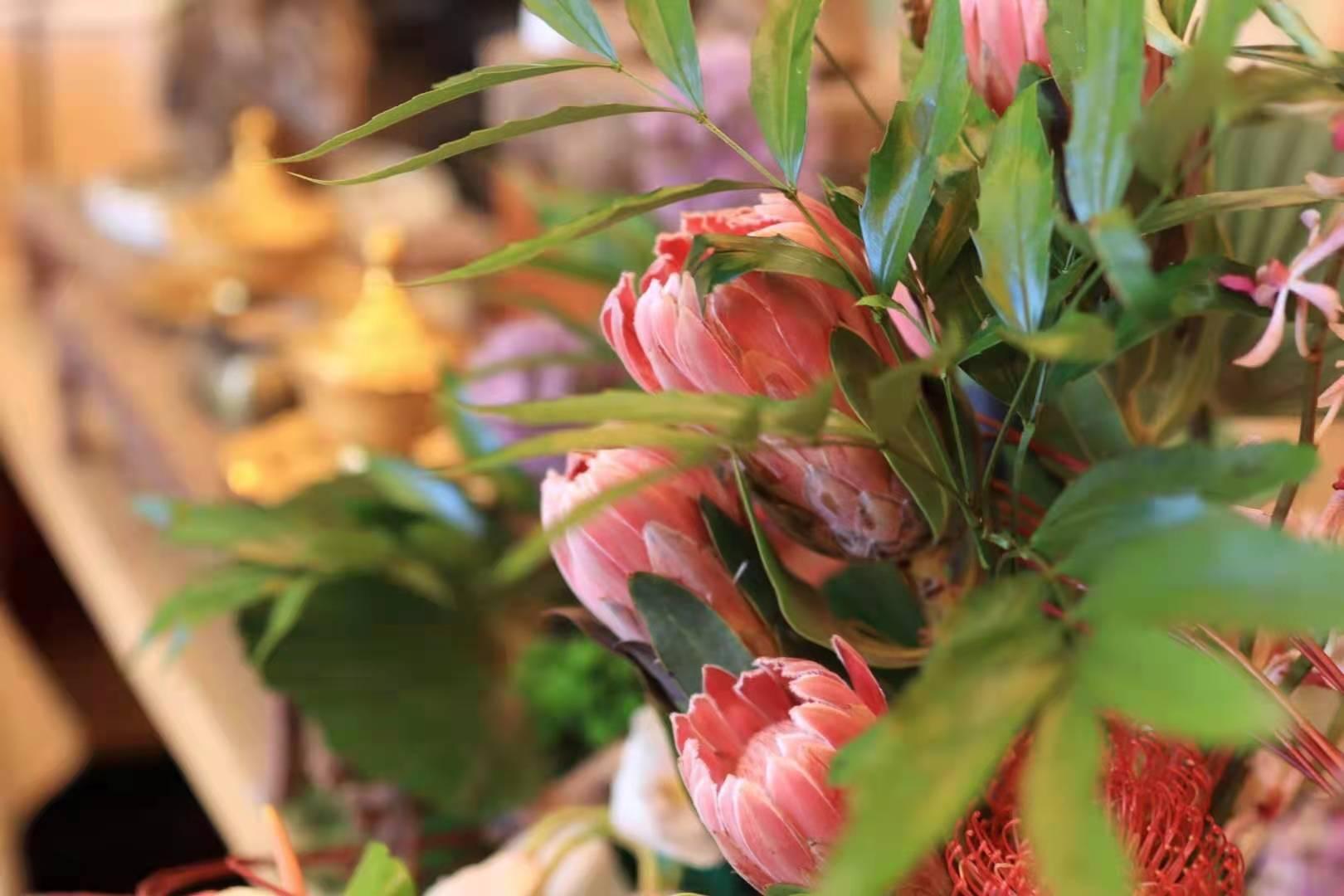 叶叶菩提高端素食