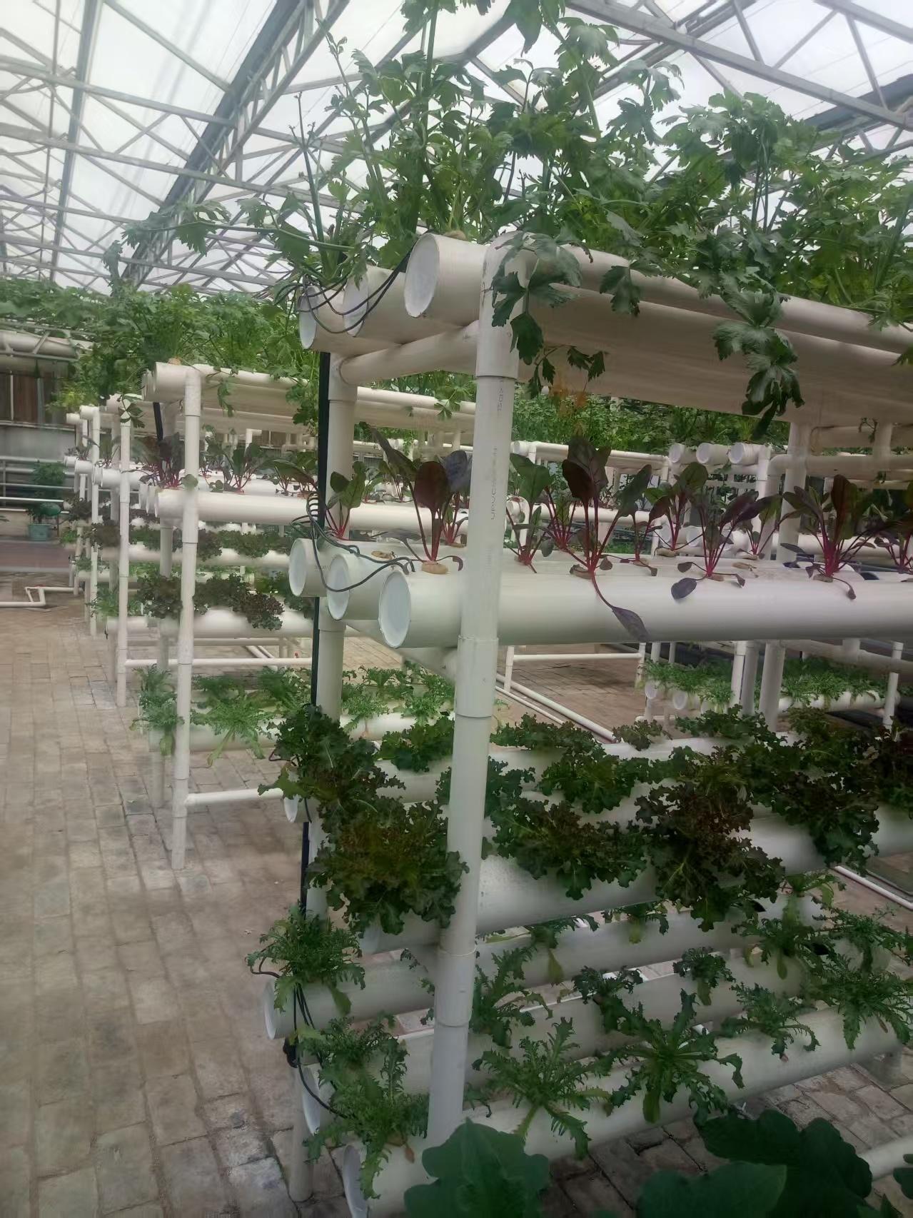 天津市兴润达农业科技发展有限公司产品图1