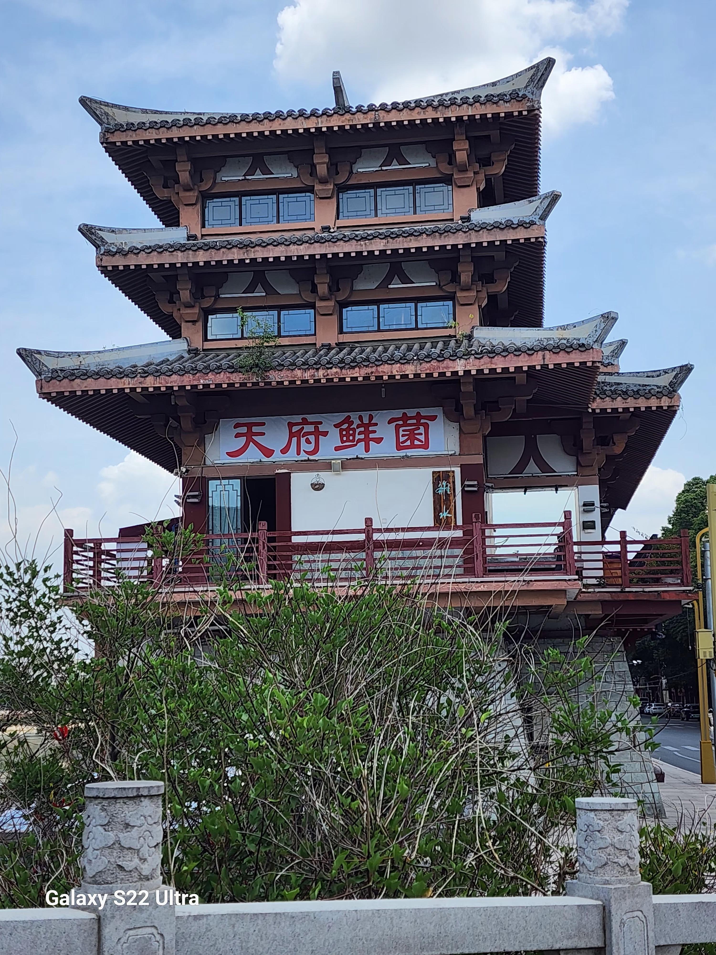 天府鲜菌环境
