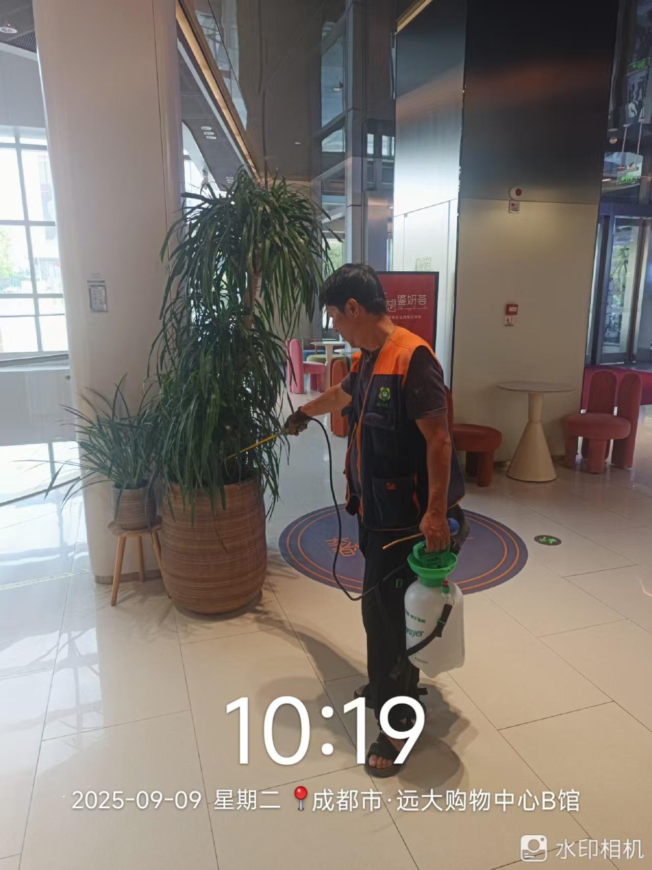 绿净爱卫服务现场