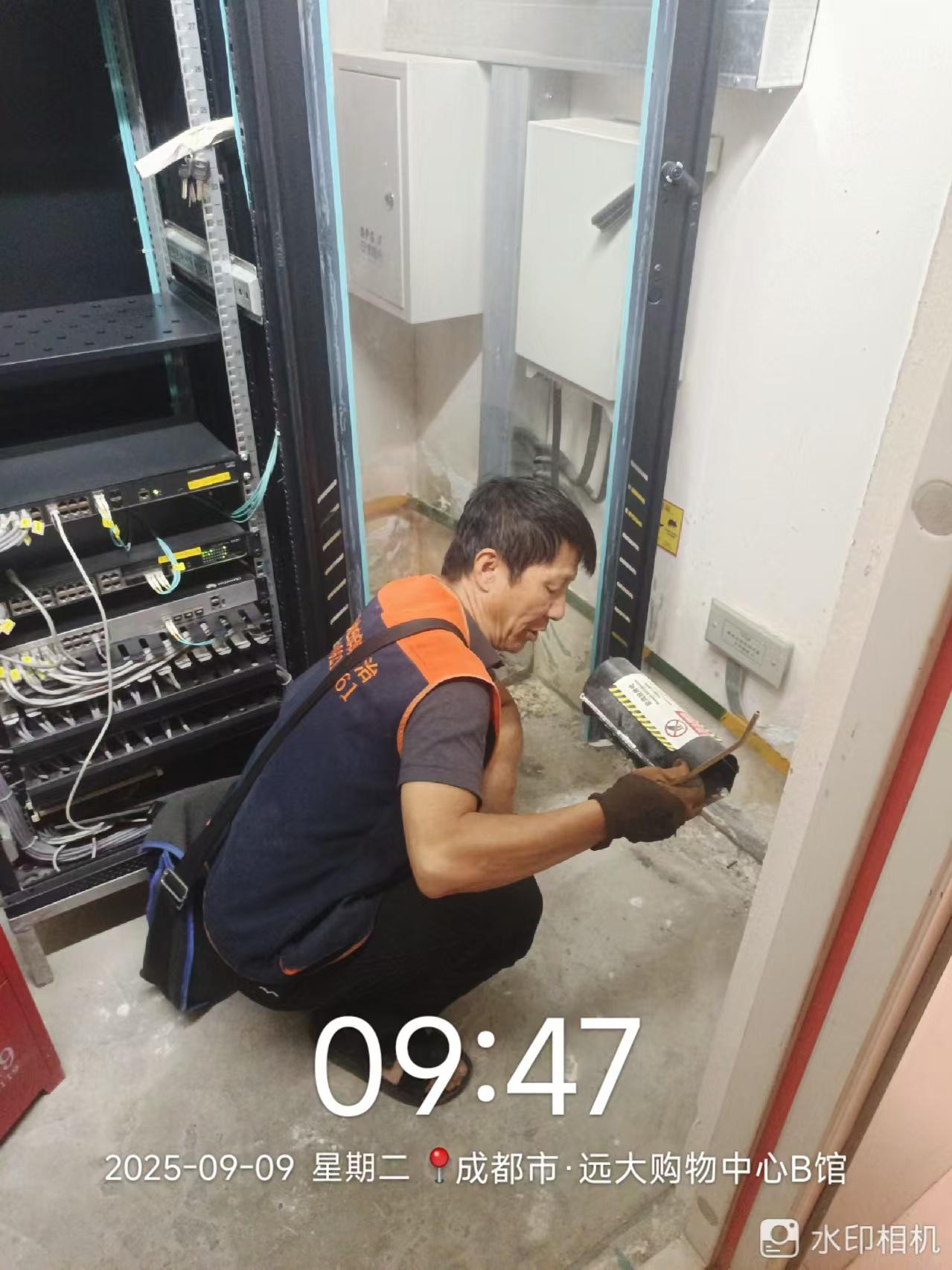 绿净爱卫团队作业