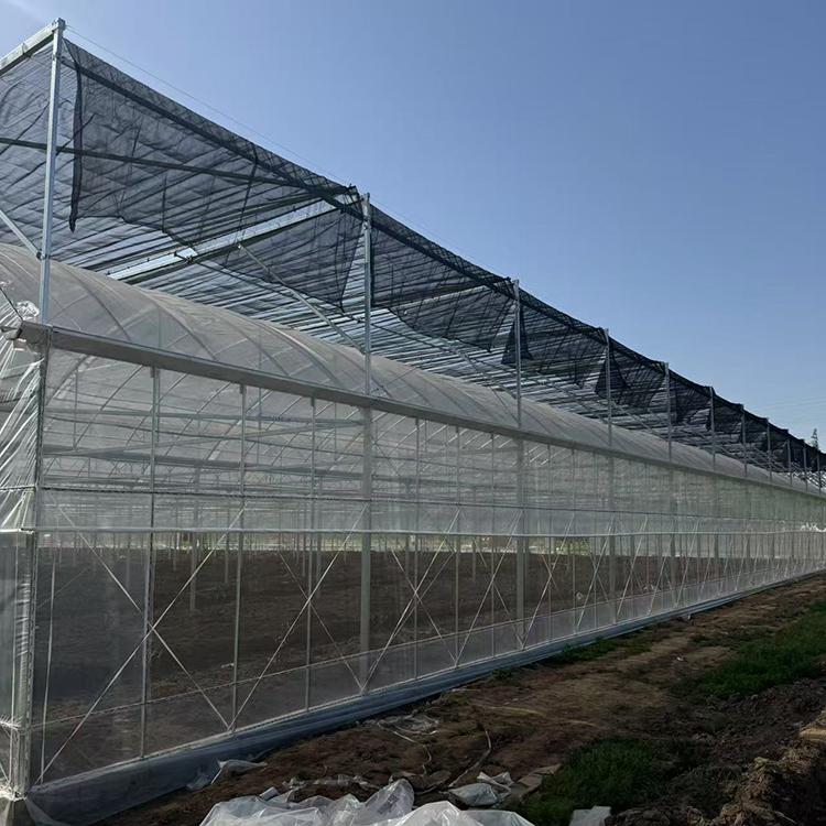天津市嘉禾亿方科技发展有限公司-养殖大棚案例1