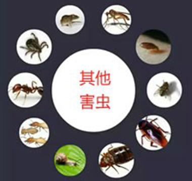 企业图片2