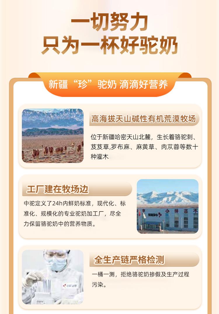 新疆中驼工厂展示
