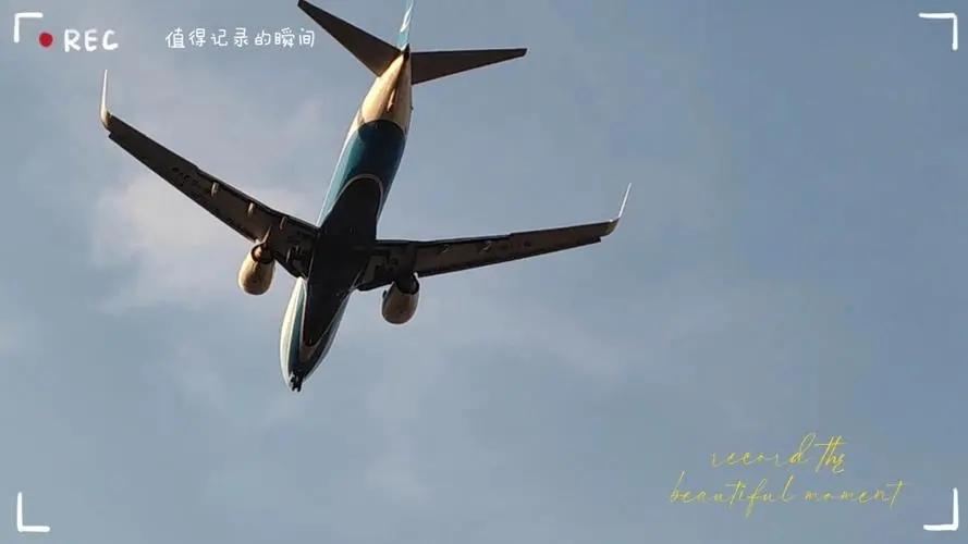 广东威洋国际供应链管理有限公司