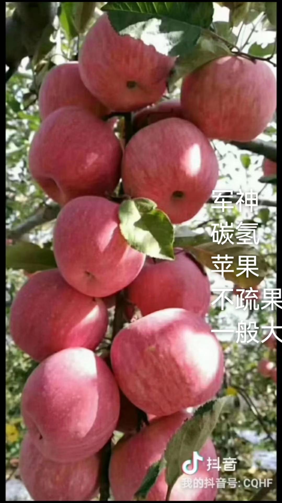 产品图片1