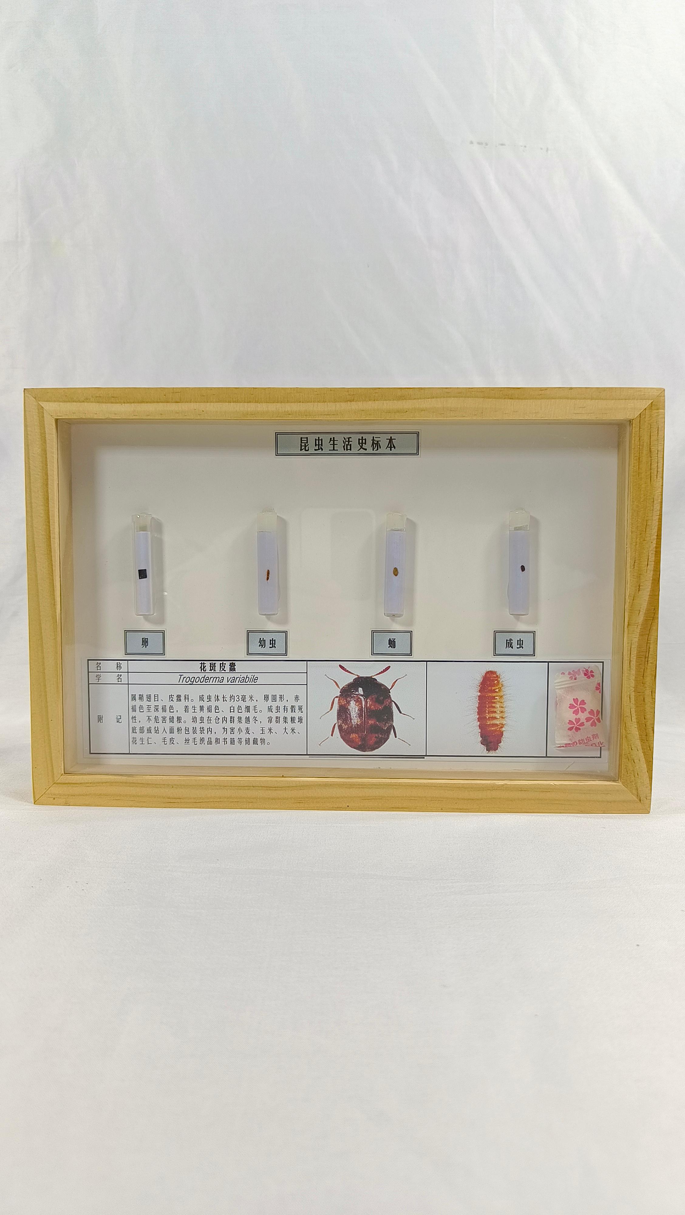 产品展示3