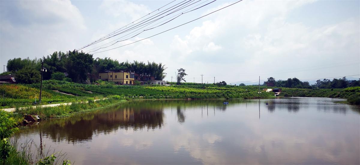 重庆果**园艺果树苗培育基地展示1