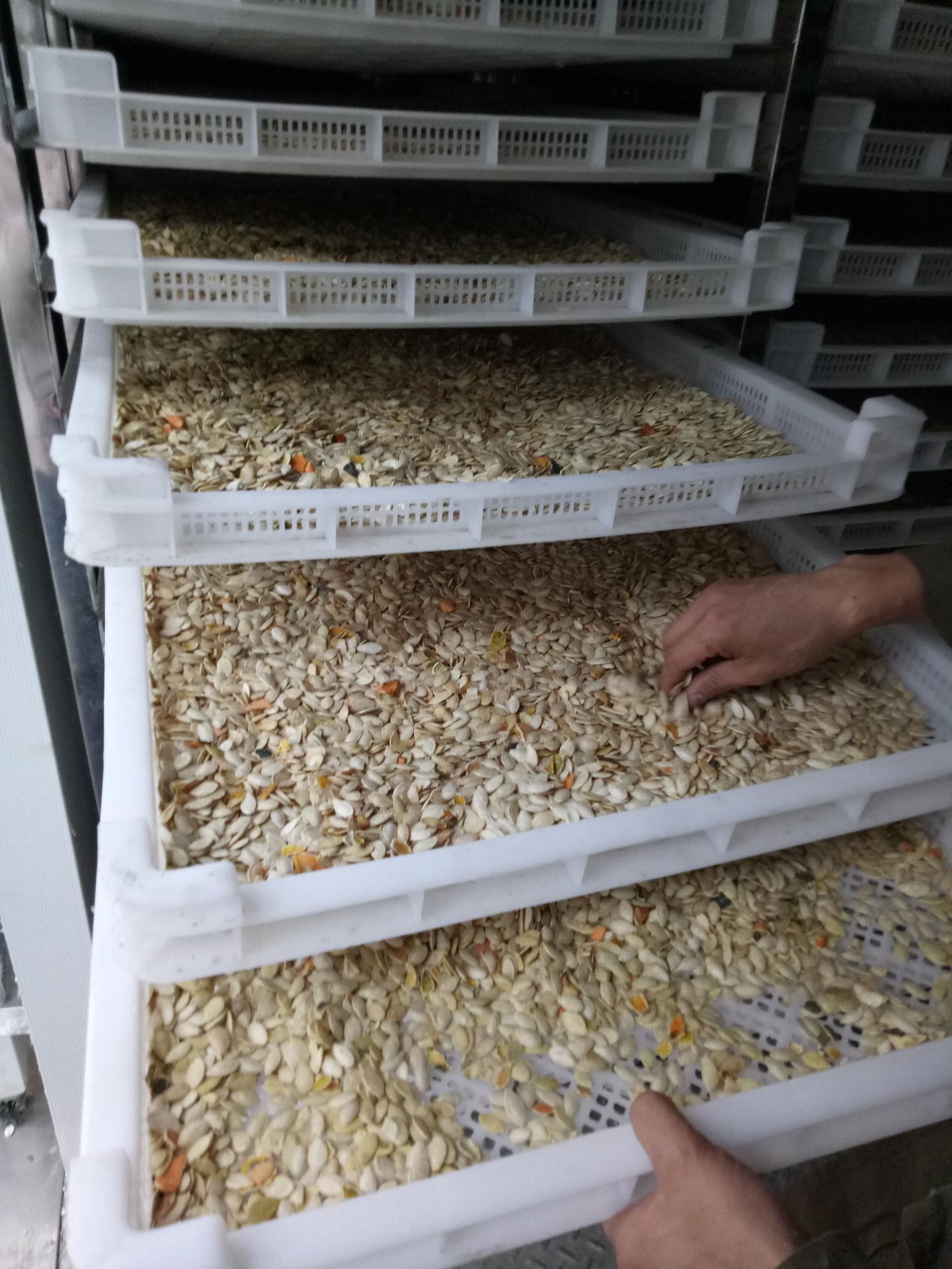广东奥伯特烘干机产品图