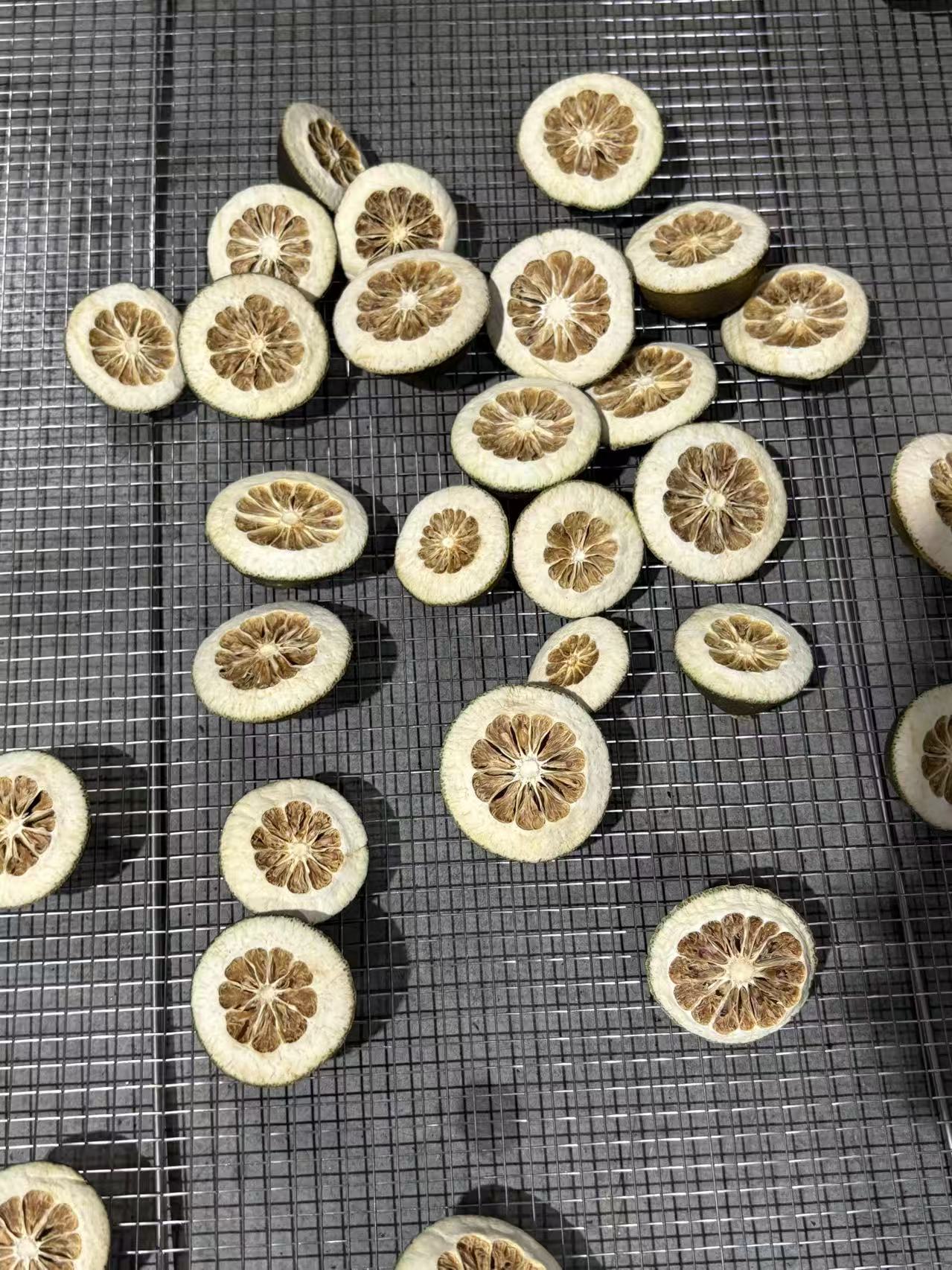 广东奥伯特烘干设备实拍