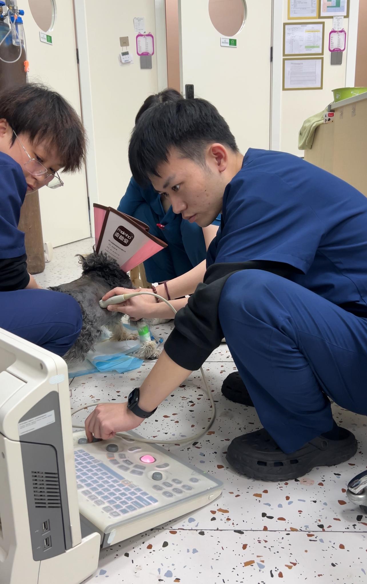 医院设备展示