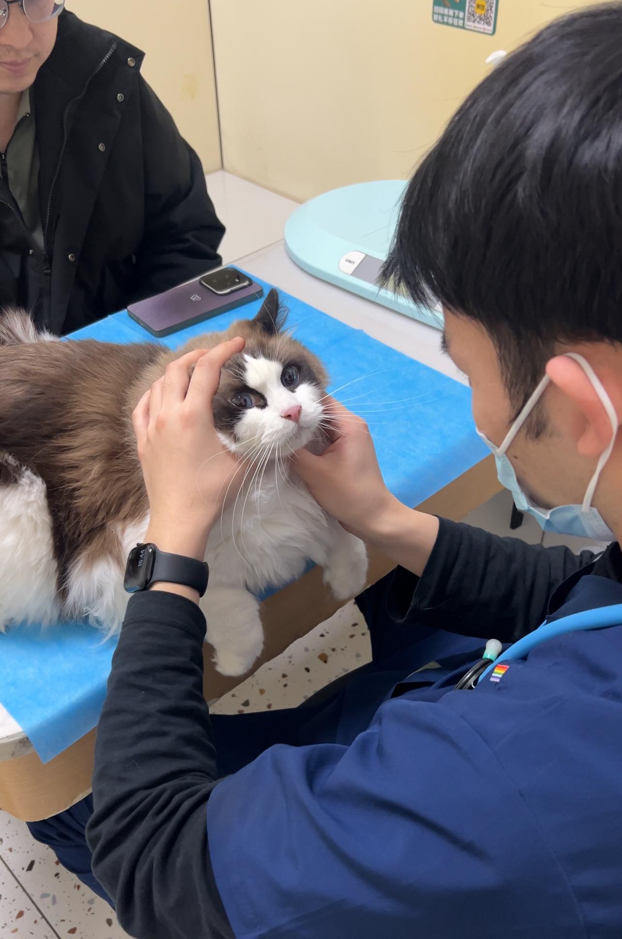青岛我爱我宠动物医院