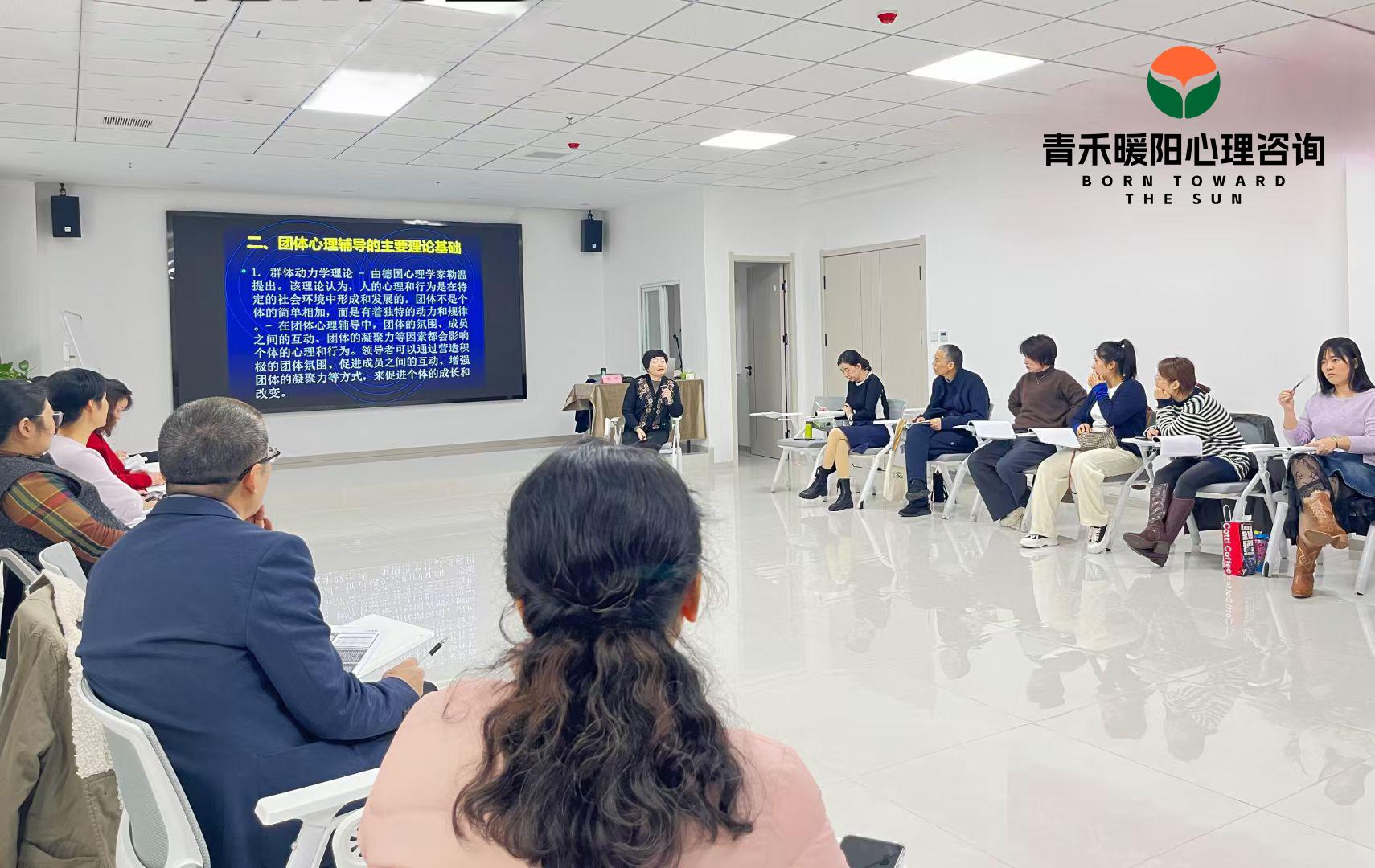 青禾暖阳心理咨询
