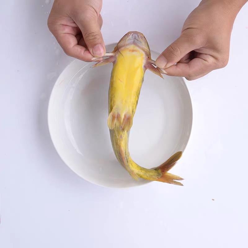 送鱼苗发货