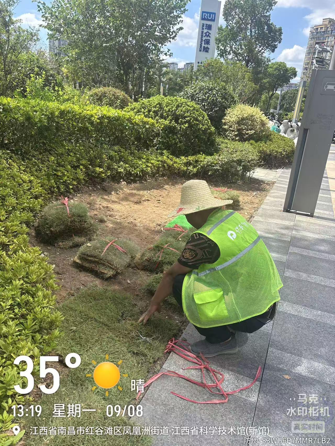 江西假山流水绿化养护案例