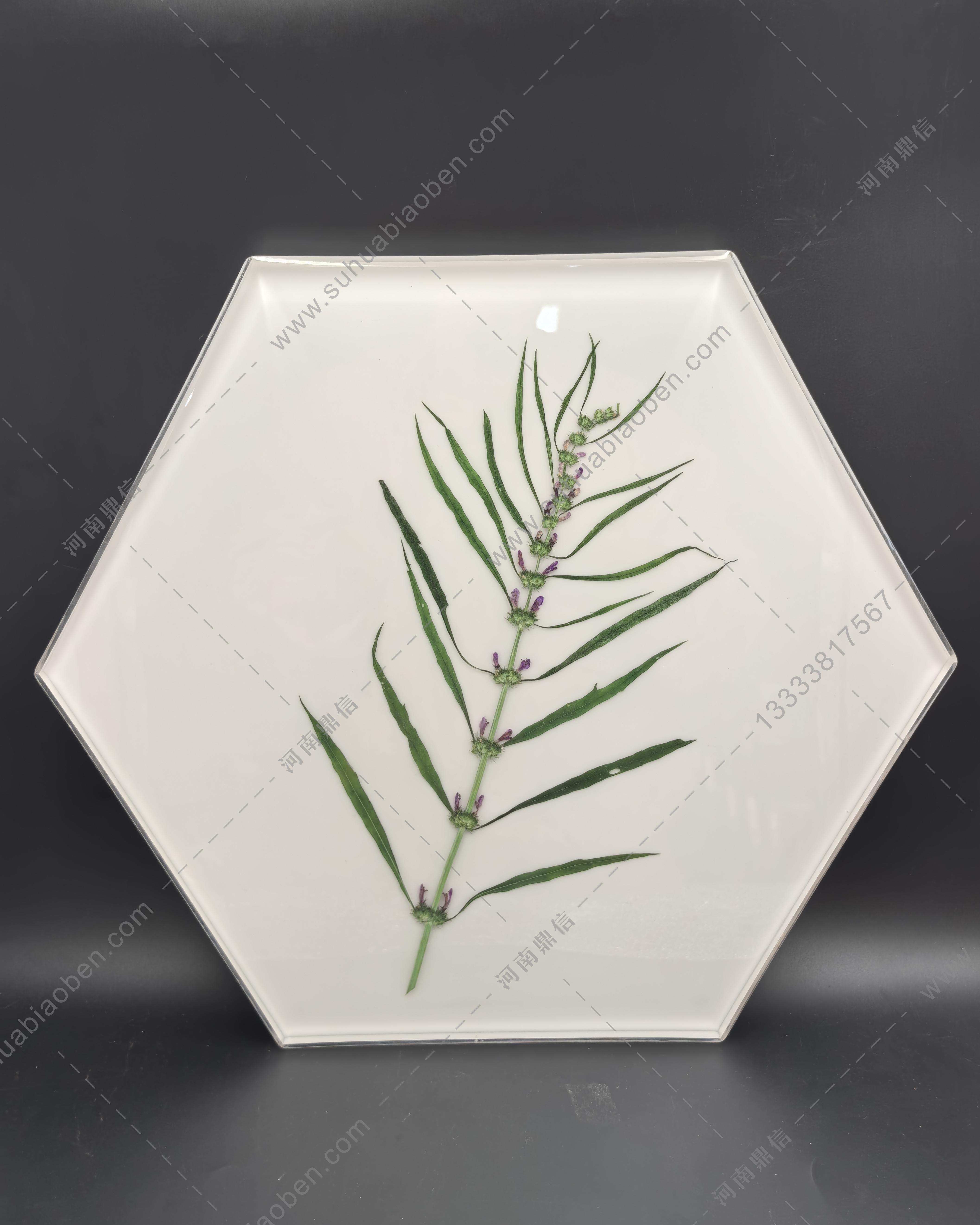 鼎信实业数字化教学平台