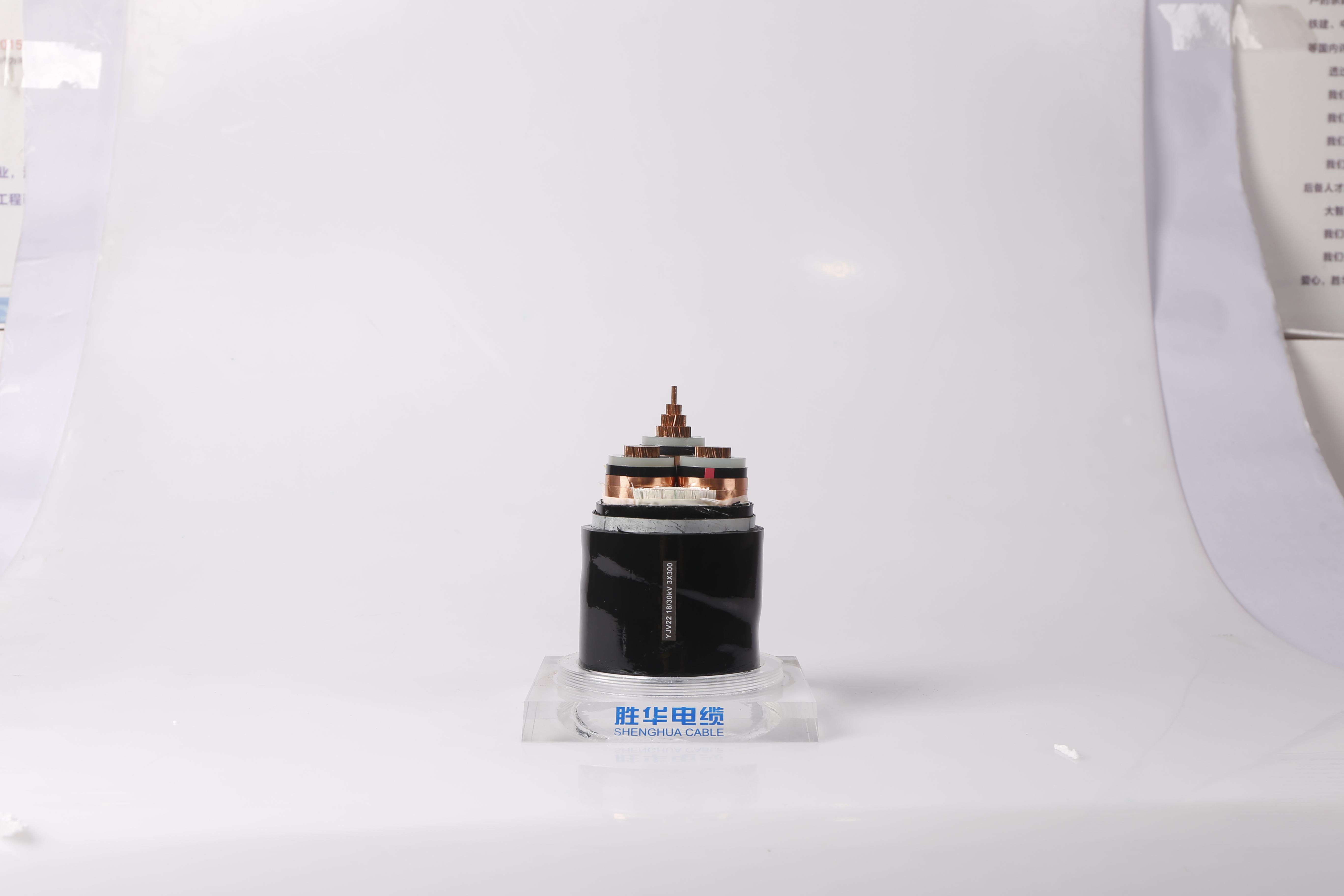 产品展示1