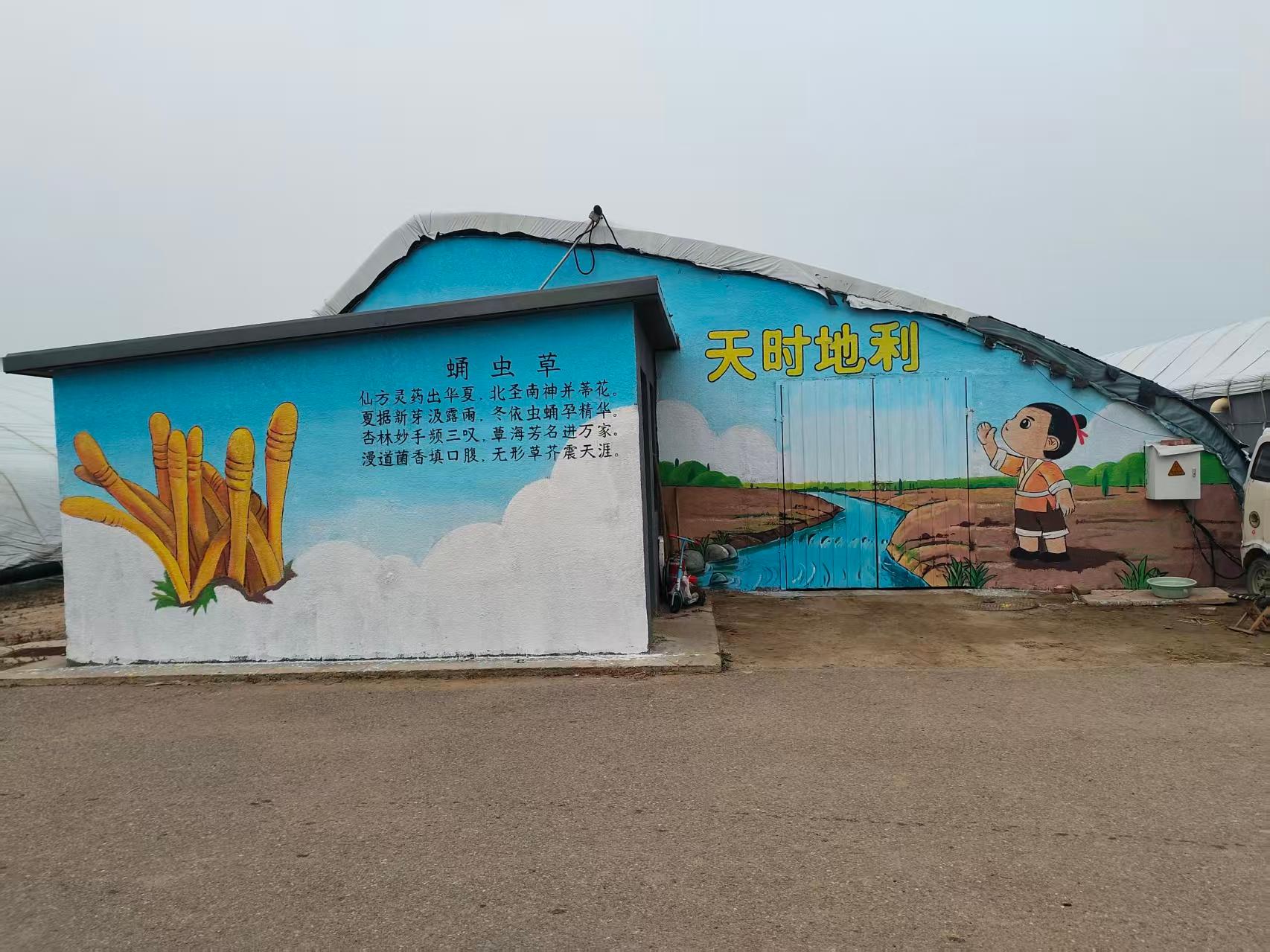 墙体彩绘案例