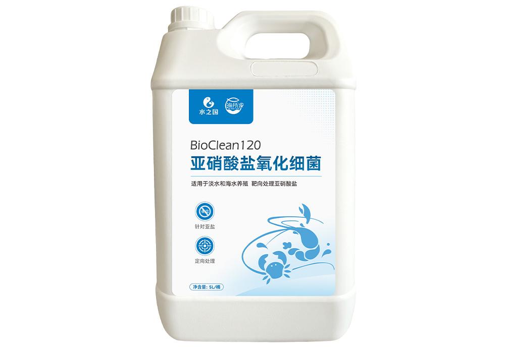 水之国生产基地内部