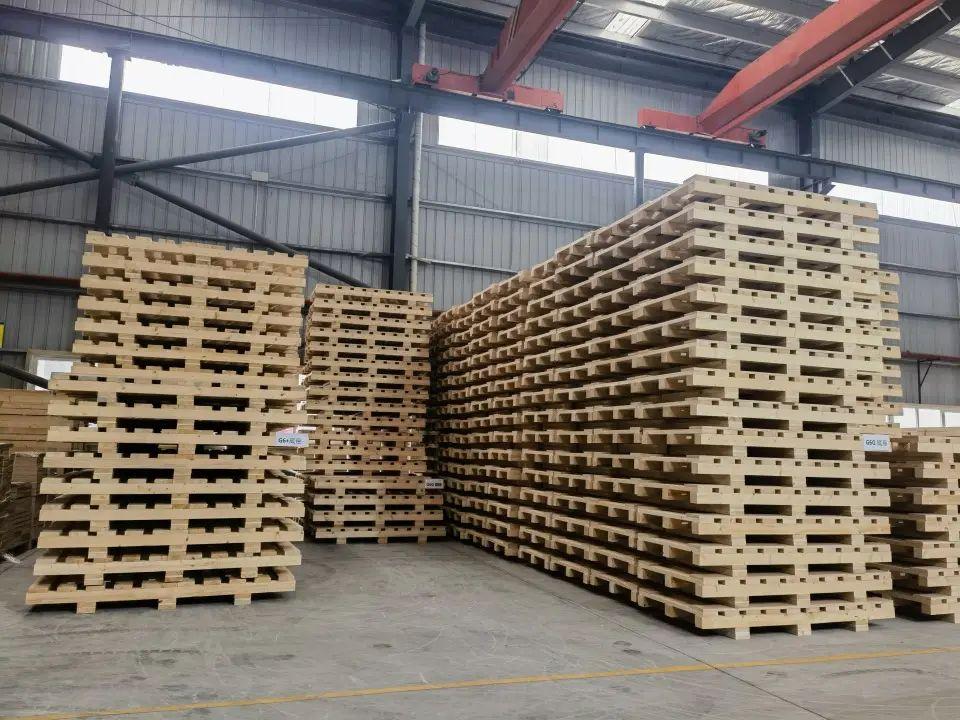 新清洋工业包装厂区