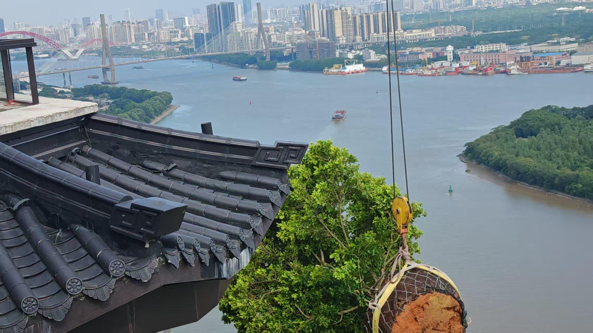 力丰搬家装卸广州有限公司服务现场