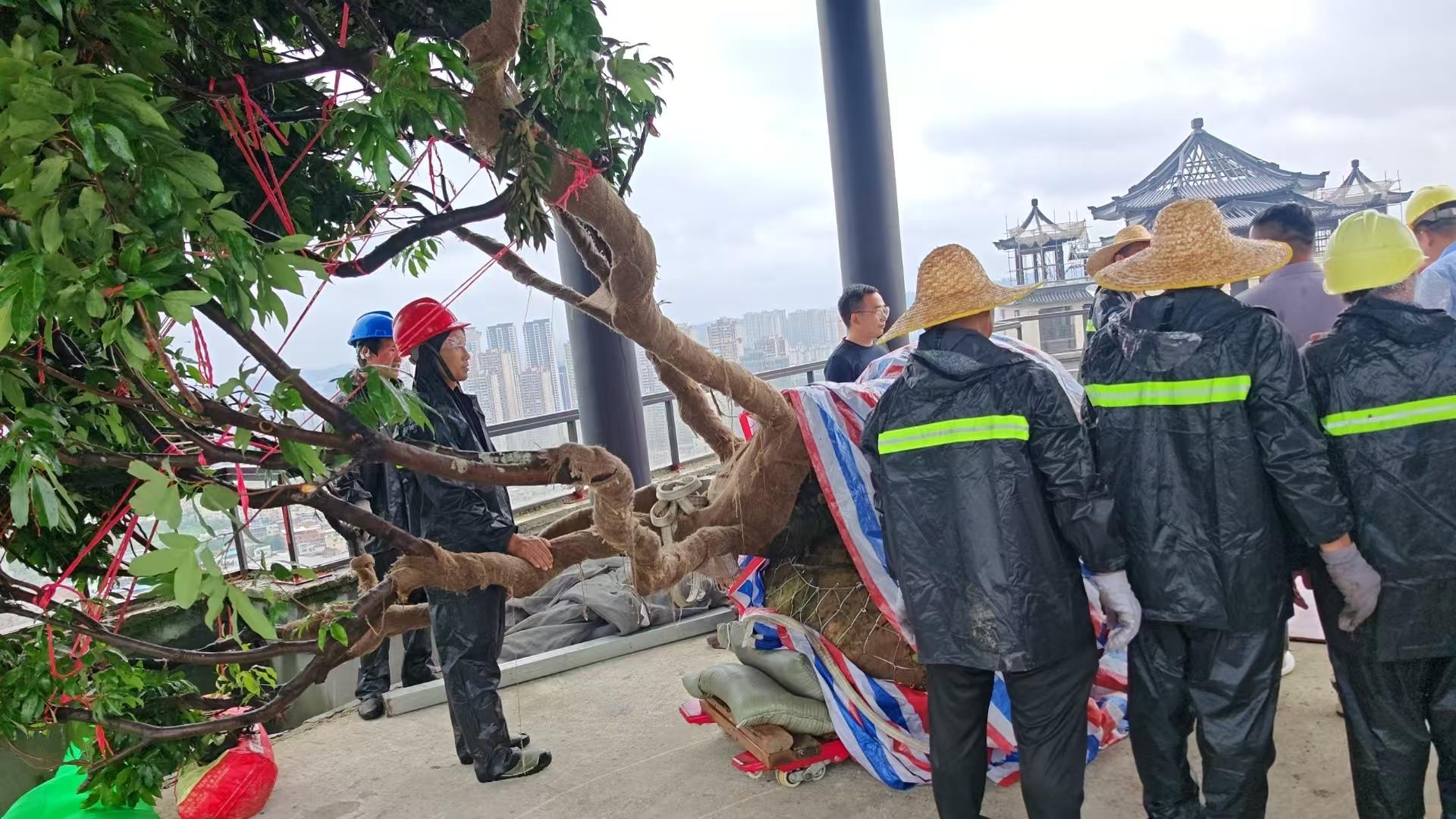 力丰搬家技术团队