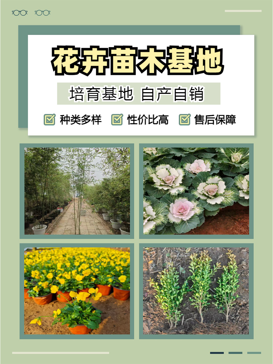 青州志民花卉苗木合作社产品展示