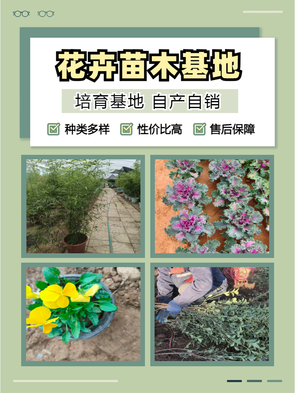 青州志民花卉苗木专业合作社