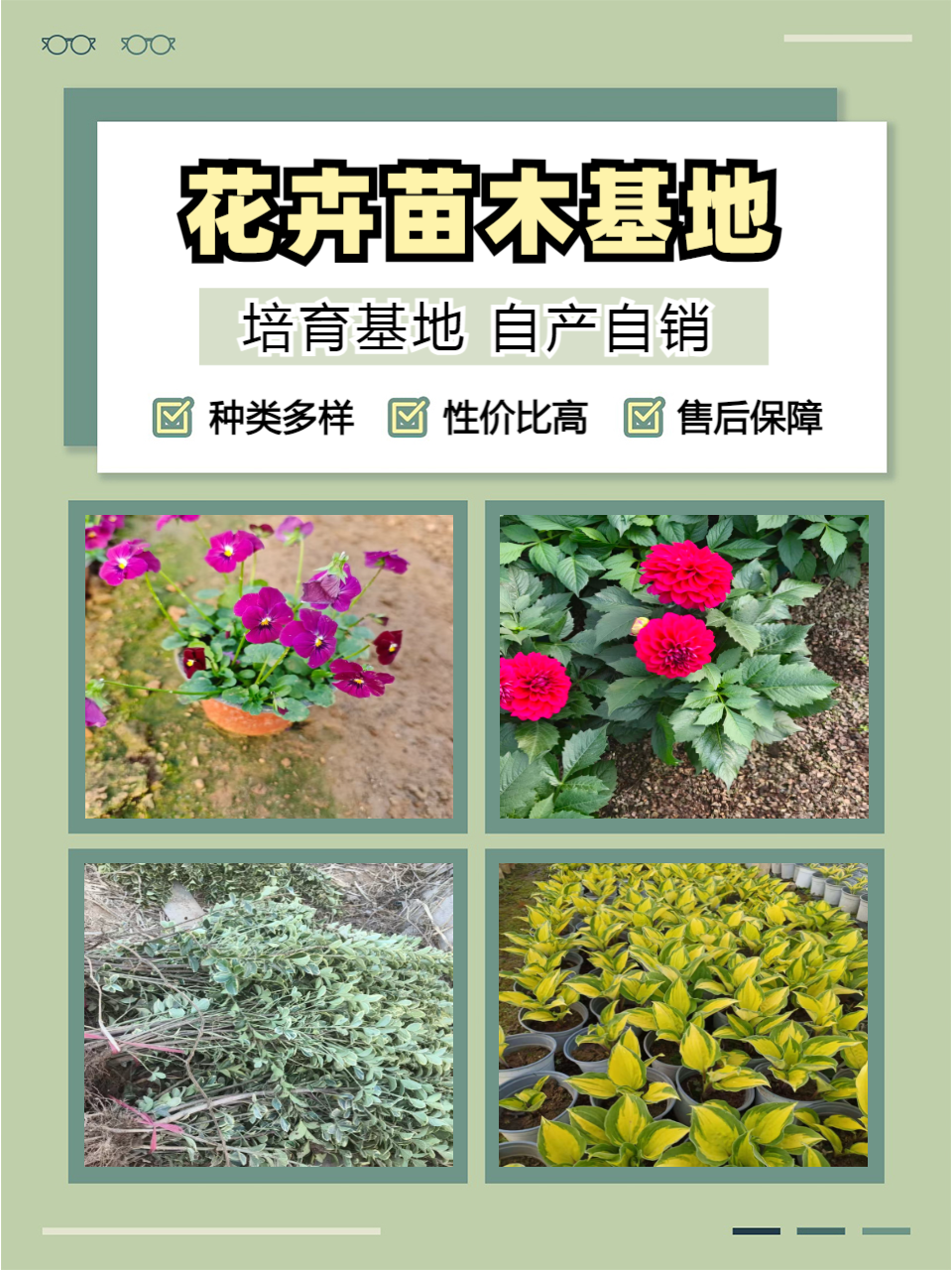 产品展示