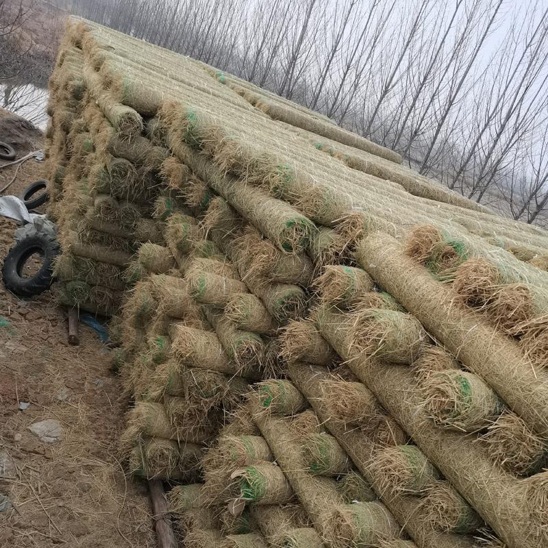 济宁茂源草制品产线