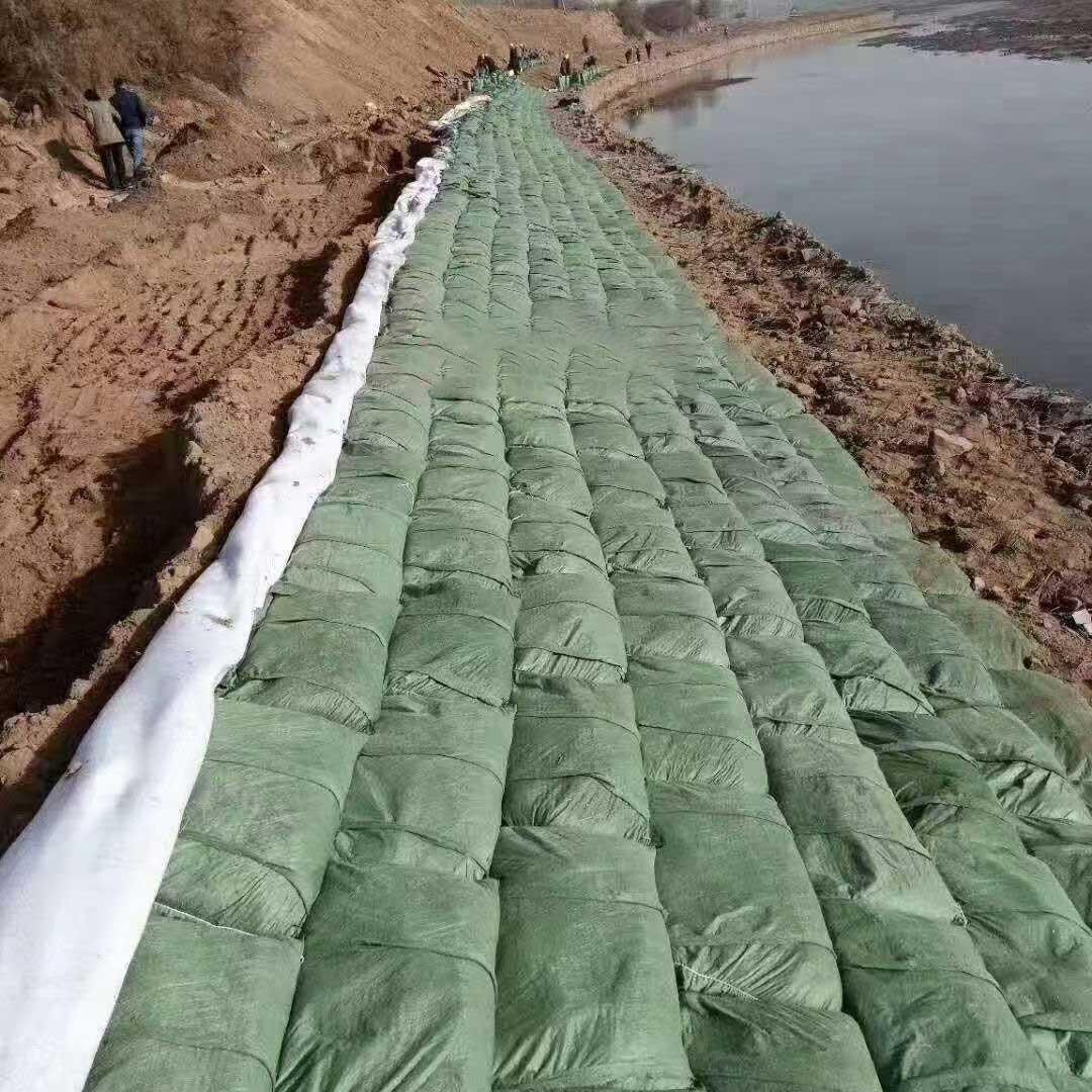生态袋应用场景