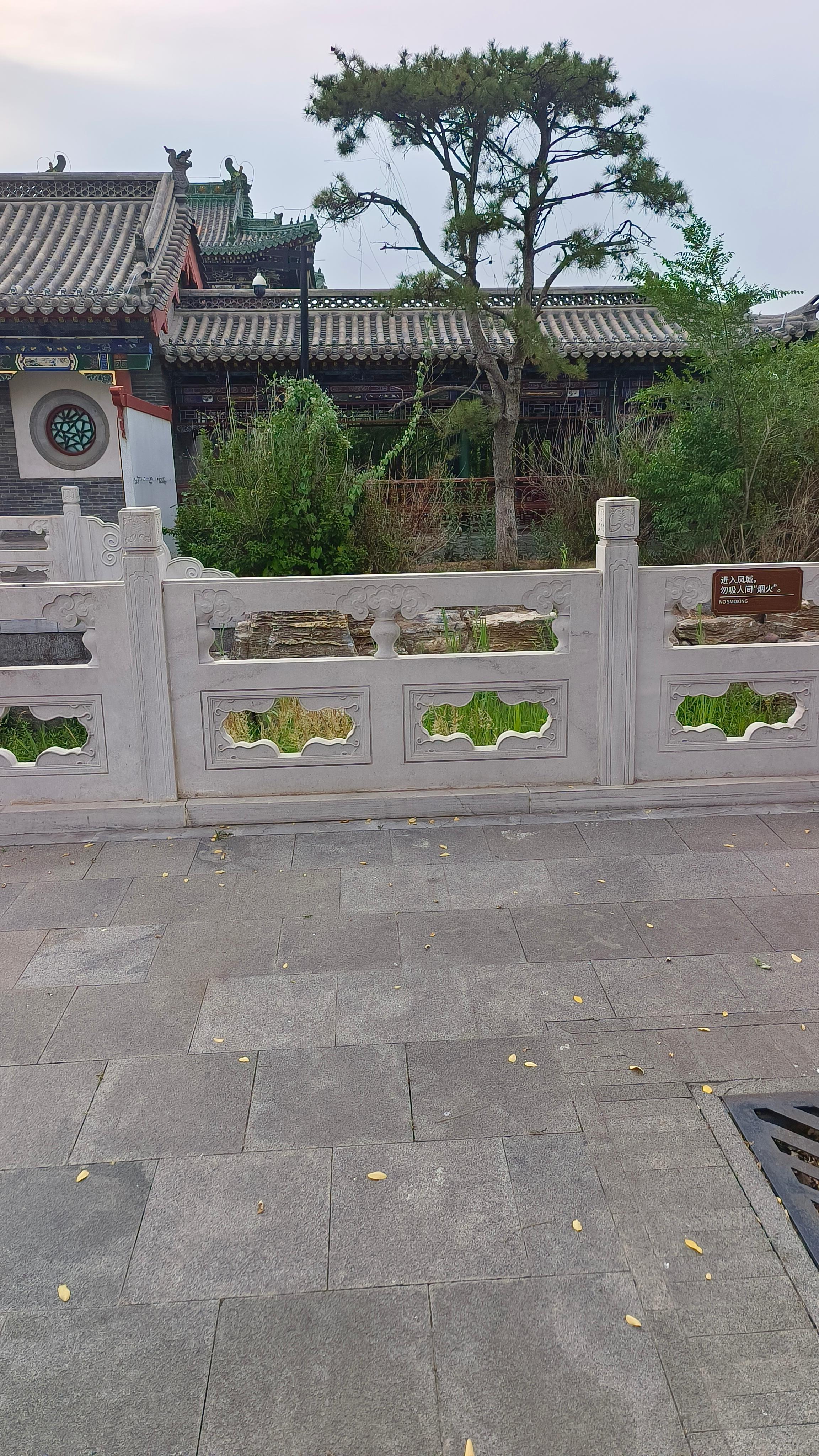 曲阳草白玉栏杆生产厂家-繁盛雕塑